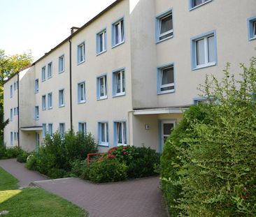 Demnächst frei! 4-Zimmer-Wohnung in Detmold Hiddeser Berg - Photo 6