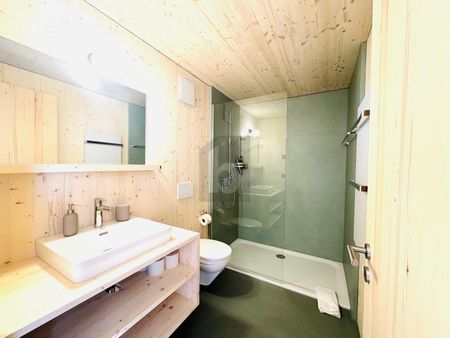 WONDERFUL VIEW ON THE RIGI - Photo 3