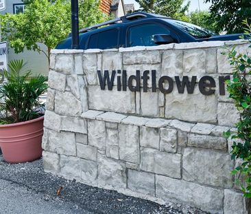 3 Bed End Unit Townhouse With Walkout Basement In Wildflower Community - Photo 5