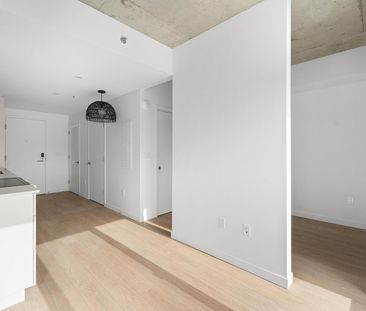 Joseph Condos for rent in Rosemont-La-Petite-Patrie - Photo 4