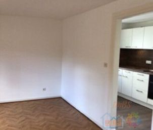 Appartement 2 pièces Duplex 41M² à louer à Schiltigheim - Photo 1