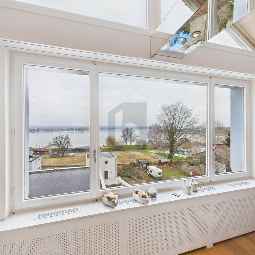 PANORAMIC VIEW OF THE BODENSEE - Photo 1