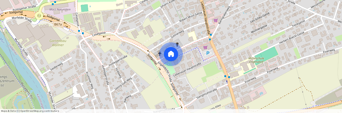 Konrad-Hopferwieser-Gasse 11, 8041, Graz-Liebenau