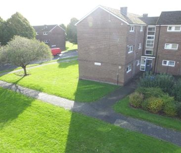 1 Bed Flat, Jordanthorpe, S8 - Photo 4