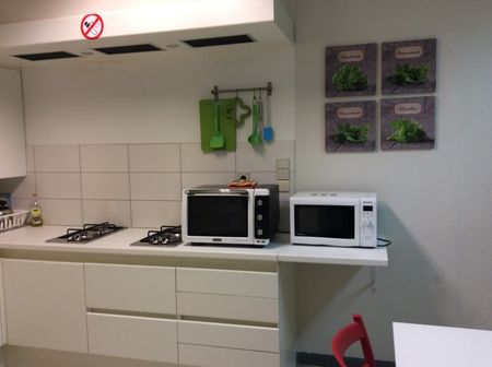 Vannestes Reke, Kortrijk, België, kamer 4 - Photo 5