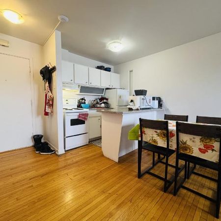 Appartement 3 ½ à louer Sainte-Foy / Sillery juillet 2026 - Photo 4