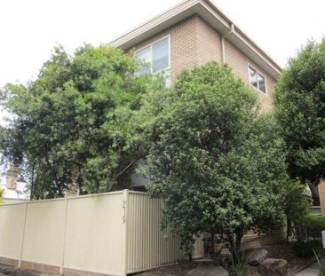 3/219 Nicholson Street, Abbotsford VIC 3067 - Photo 5