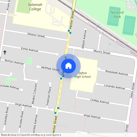 39A Hector Street, NSW 2162, Sefton