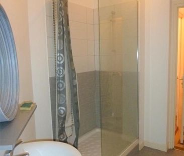 Location Appartement 2 pièces 56m² GRENOBLE 38000 - Photo 2