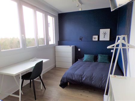 Flatshare near Audencia and universities - Photo 3