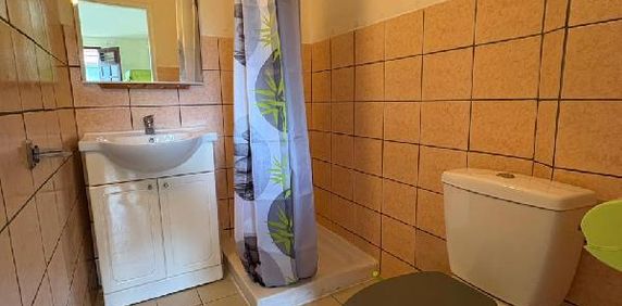 Le Lamentin - Appartement - F1 - Photo 2