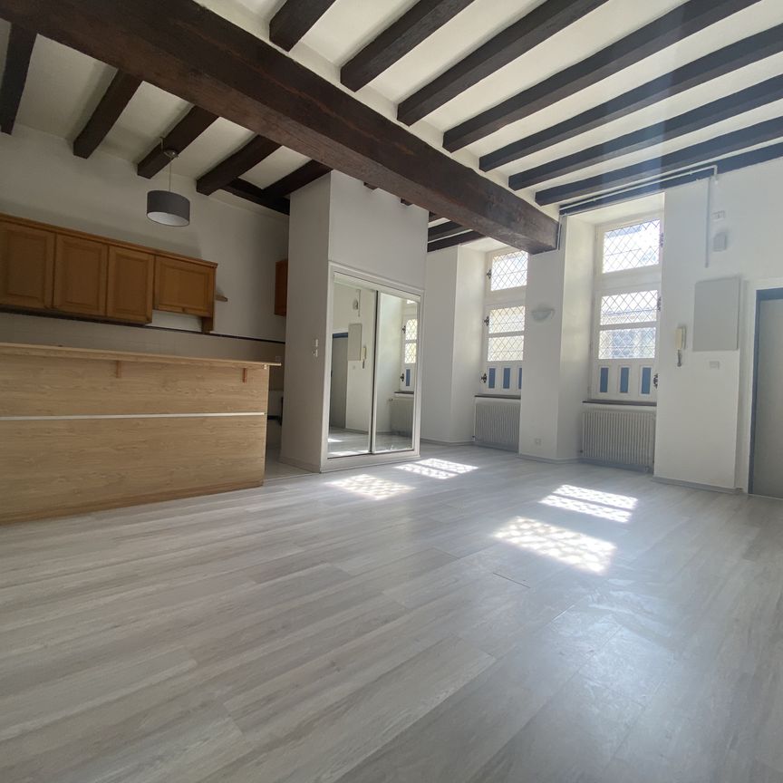 Location Appartement 2 pièces 45m² SAUMUR 49400 - Photo 1