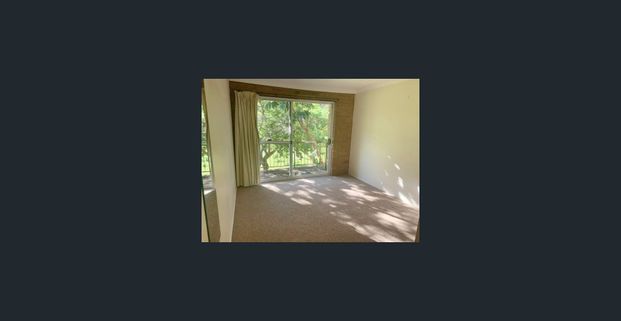 Park Views in Sought After Location! - Photo 1