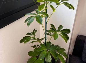 Loft για ενοικίαση - Κέντρο Θεσσαλονίκης, - Photo 5