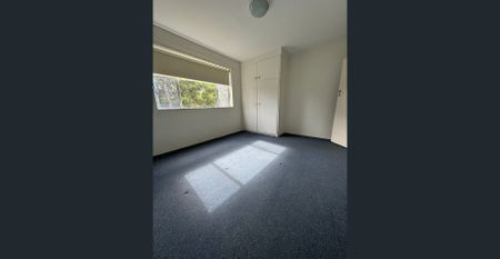 Spacious 1-Bedroom Apartment in Kingsford - Photo 4