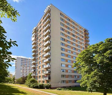 Pronájem bytu 1+kk v osobním vlastnictví 28 m², Praha 4 - Braník - Photo 4
