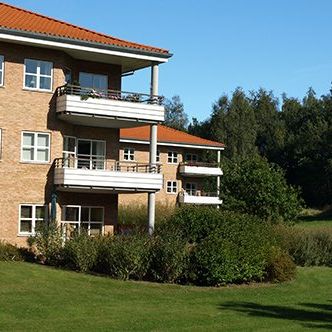 Ved Store Dyrehave 2, 2. th - Photo 1