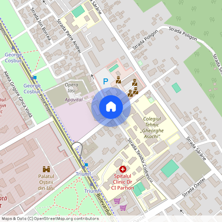Iasi, Iasi