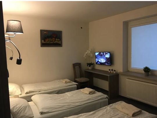 Dom do wynajęcia blisko strefyEkonomicznej-2 niezależne lokale - Photo 1