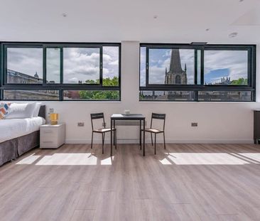 Campo Lane - Photo 5