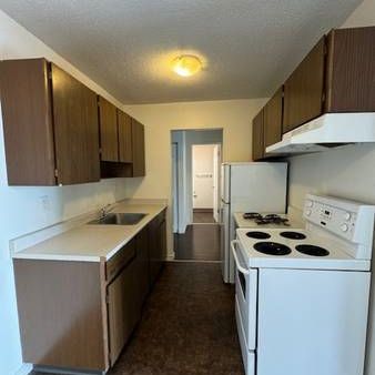 Large 1 Bedroom 1 Bath Apartment in Coquitlam - Photo 4