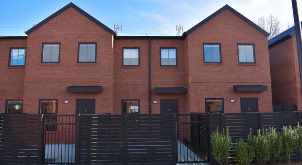 Perfection on Pippa Lane - Photo 1