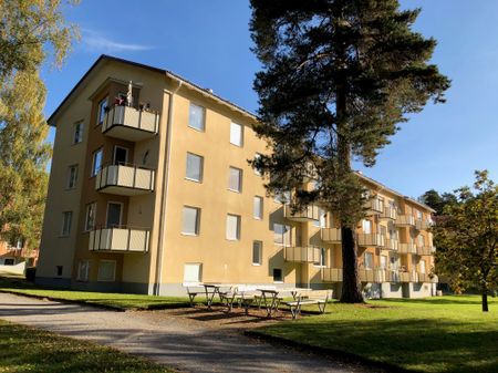 Violstigen, Västerås - Photo 2