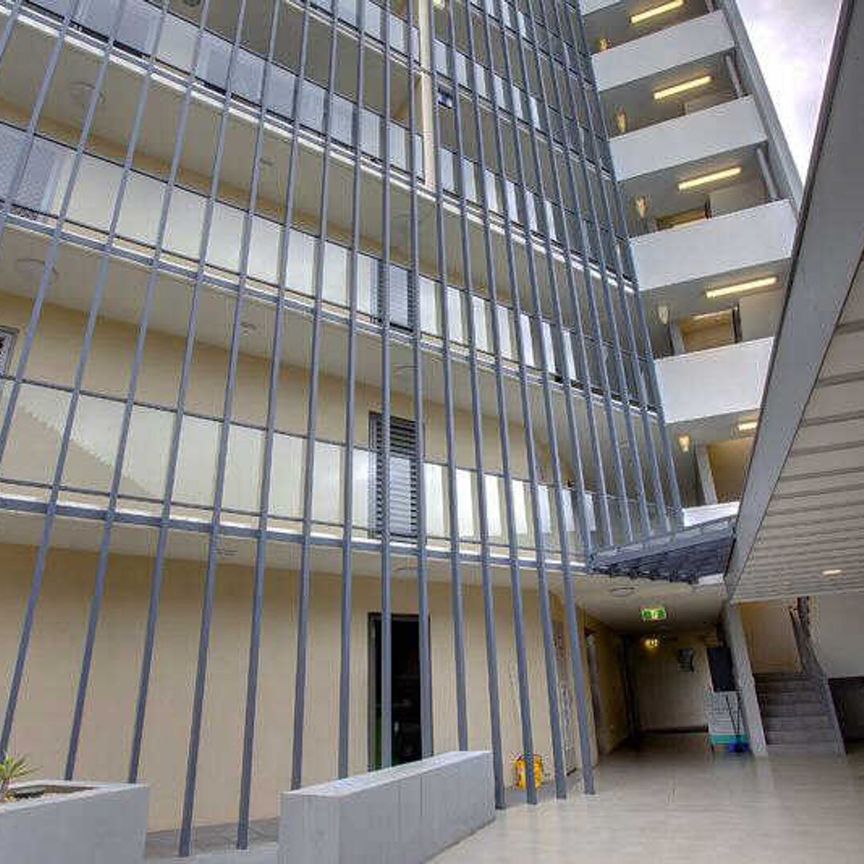 Modern, Easy Living - 30 Ellsworth Drive, Mount Louisa - Photo 1