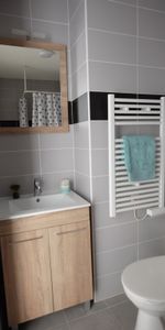 Location Appartement 1 pièce 22m² ISLE 87170 - Photo 3