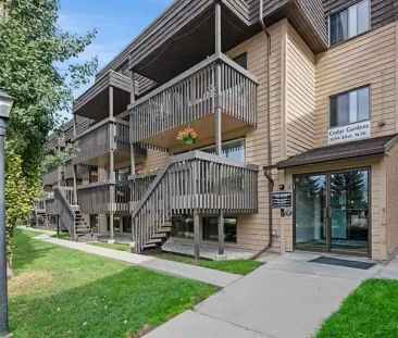 Newly renovated 2 Bedroom and Den | 50 - 3519 49 St NW, Calgary - Photo 1