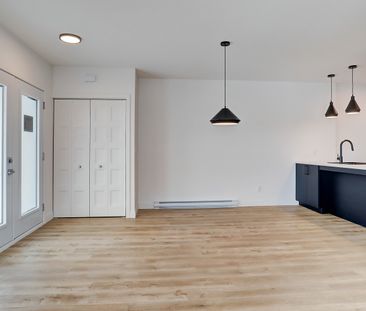 55, rue Michel-Robidoux #302, East-Angus - Photo 4