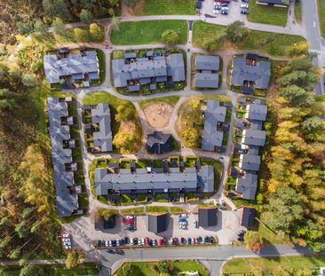 Kantarellen - Photo 1