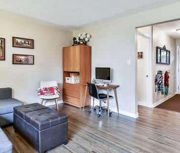 3 Bedroom Bungalow For Rent In Highwood: One Pet Allowed 1 Month Fr... - Photo 6