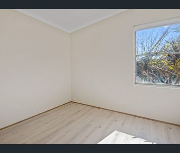 11 Rose Terrace, Paddington, NSW 2021 - Photo 4
