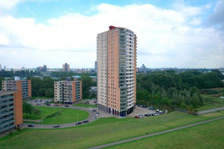 Hoge Filterweg 268, 3063KE Rotterdam - Foto 5