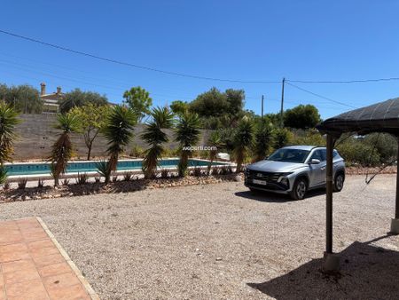 Country House in Crevillente, crevillente, for rent - Photo 2