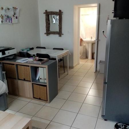 Location Appartement 1 pièce 20m² - Photo 4