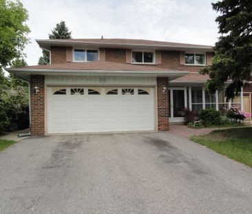For Lease - 36 Roundwood Court Unit# Basement, Toronto, Ontario - Photo 3