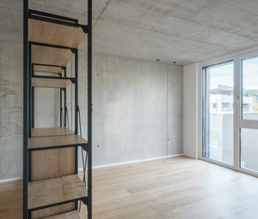 Auerstrasse 5, 9435 Heerbrugg - Photo 1
