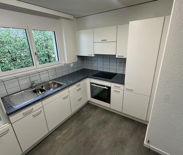 2 1/2-Zimmer-Wohnung 2. OG - Foto 2