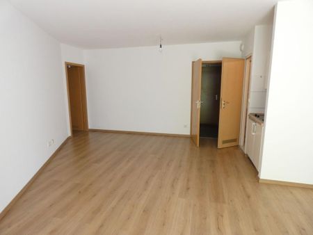 1-Zimmer-Wohnung im Leipziger Süden! inkl. Stellplatz - Foto 3