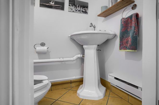 Condo for rent, Montréal (Le Plateau-Mont-Royal) - Photo 1