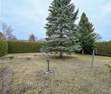 5 BEVERLY STREET - Photo 4