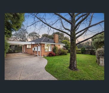 Single Level Family Home in Leafy Mount Waverley ( 6 months lease o... - Photo 3