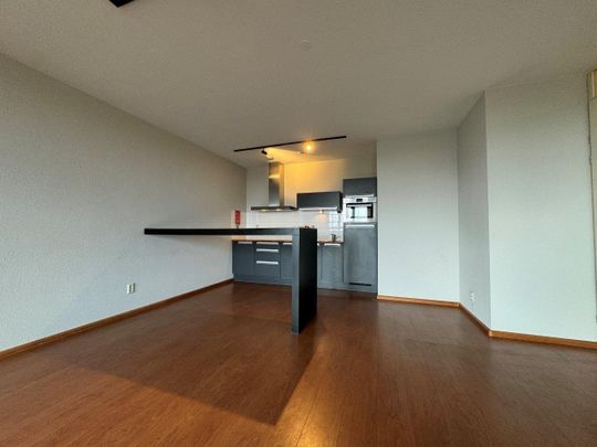 Te huur: Appartement Professor de Moorplein in Tilburg - Photo 1