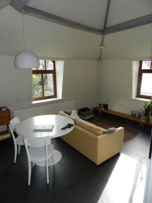 Gezellig 1-slaapkamerappartement met groot terras in hartje - Photo 1