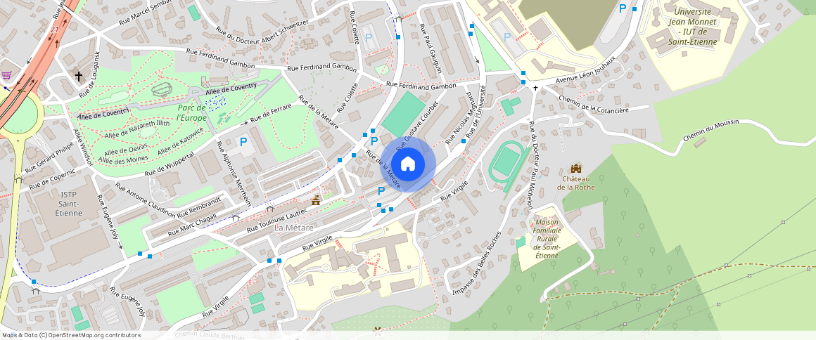 ** RUE GUSTAVE COURBET, 42100, St Etienne