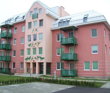 1-Zimmer-Wohnung, Top 715 - Foto 2