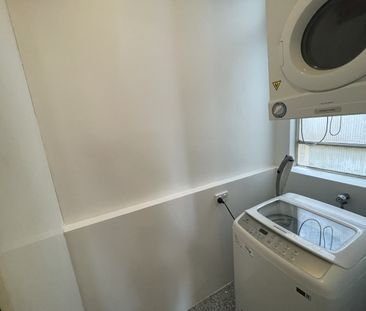 Renovated Character Apartment - Photo 3