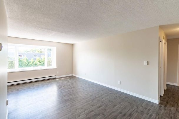 Lewis Court Apartments - ALL INCLUSIVE - Photo 1